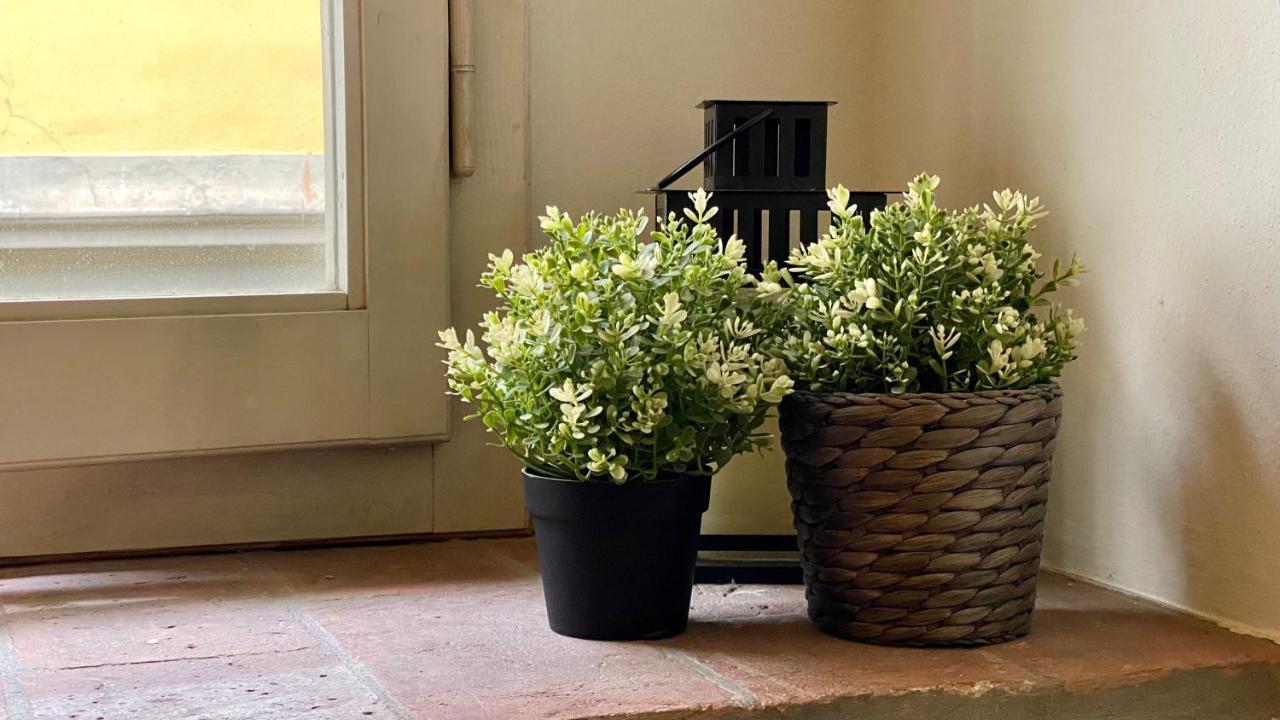 Corso Double Lejlighed Firenze Eksteriør billede